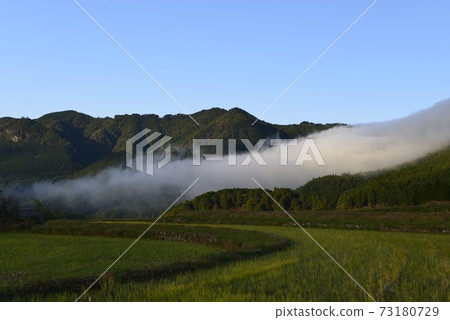 [Mihama Town, Mie Prefecture] Grated Fuden 73180729