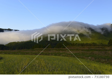 [Mihama Town, Mie Prefecture] Grated Fuden 73180730