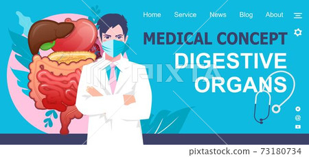 medical concept banner internal organs medical concept banner internal organs 73180734