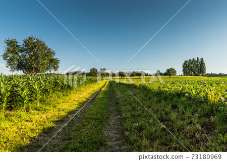 Landscape near Ermatingen, Lake Constance, Canton Thurgau, Switzerland Landscape near Ermatingen, Lake Constance, Canton Thurgau, Switzerland 73180969