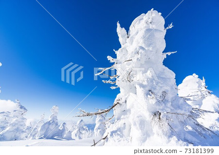 山形縣的冰與藍天山形縣山形市 山形縣的冰與藍天山形縣山形市 73181399