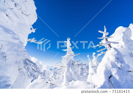 Yamagata Zao's tree ice and blue sky Yamagata City, Yamagata Prefecture Yamagata Zao's tree ice and blue sky Yamagata City, Yamagata Prefecture 73181415