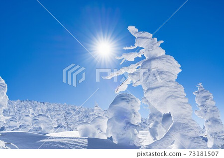 Yamagata Zao's tree ice and blue sky Yamagata City, Yamagata Prefecture Yamagata Zao's tree ice and blue sky Yamagata City, Yamagata Prefecture 73181507