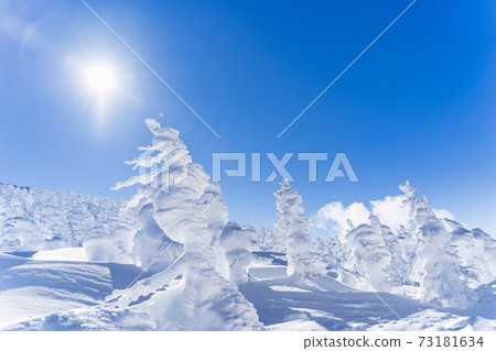 Yamagata Zao's tree ice and blue sky Yamagata City, Yamagata Prefecture Yamagata Zao's tree ice and blue sky Yamagata City, Yamagata Prefecture 73181634