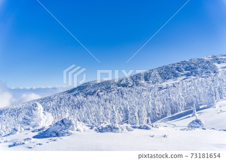 Yamagata Zao's tree ice and blue sky Yamagata City, Yamagata Prefecture Yamagata Zao's tree ice and blue sky Yamagata City, Yamagata Prefecture 73181654