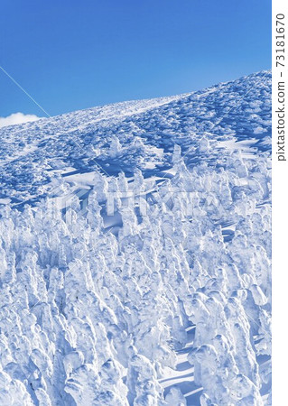 Yamagata Zao's tree ice and blue sky Yamagata City, Yamagata Prefecture Yamagata Zao's tree ice and blue sky Yamagata City, Yamagata Prefecture 73181670