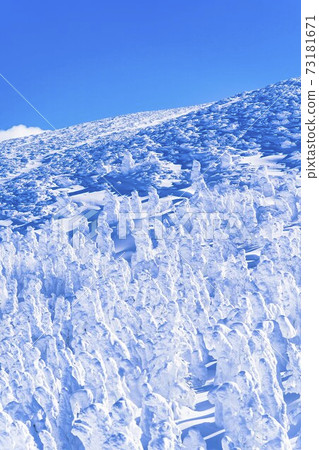 Yamagata Zao's tree ice and blue sky Yamagata City, Yamagata Prefecture Yamagata Zao's tree ice and blue sky Yamagata City, Yamagata Prefecture 73181671
