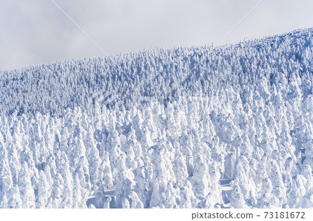 Yamagata Zao's tree ice and blue sky Yamagata City, Yamagata Prefecture Yamagata Zao's tree ice and blue sky Yamagata City, Yamagata Prefecture 73181672