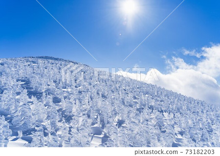 Yamagata Zao's tree ice and blue sky Yamagata City, Yamagata Prefecture Yamagata Zao's tree ice and blue sky Yamagata City, Yamagata Prefecture 73182203