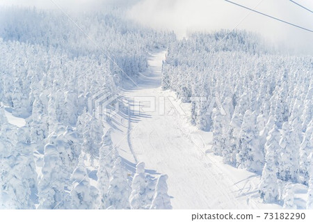 Yamagata Zao's tree ice and blue sky Yamagata City, Yamagata Prefecture 73182290