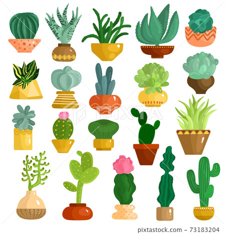 Cacti Succulents In Pots Set Cacti Succulents In Pots Set 73183204