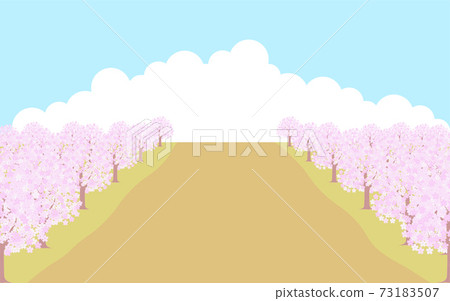 一排盛開的櫻花樹向左和向右,藍天白雲的背景,插圖素材 一排盛開的櫻花樹向左和向右,藍天白雲的背景,插圖素材 73183507