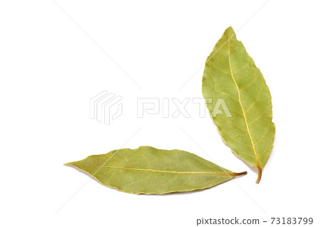 Laurier Laurier 73183799