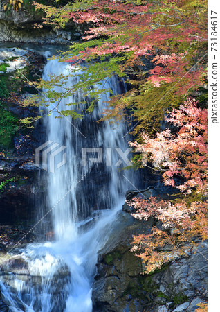 The famous waterfall of Tokushima, Shikoku "Otodoro Falls" 73184617