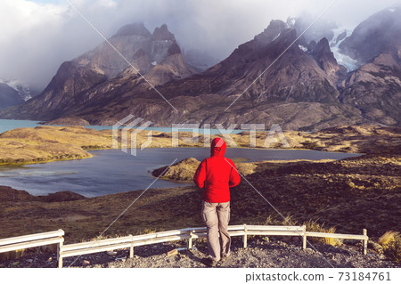 Torres Torres 73184761