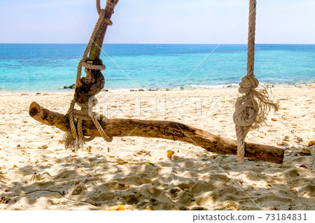 Empty swing from branch hanging on a rope on the sea coast. Empty swing from branch hanging on a rope on the sea coast. 73184831