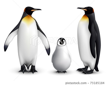 Penguin Realistic Set Penguin Realistic Set 73185184