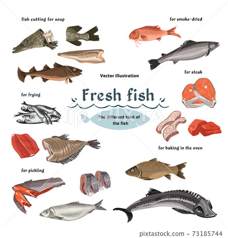 Colored Sketch Seafood Set Colored Sketch Seafood Set 73185744