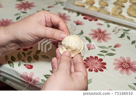 Cooking dumplings by hand in the kitchen Cooking dumplings by hand in the kitchen 73186010