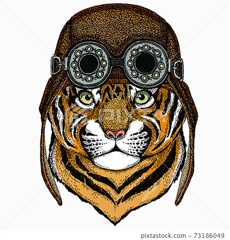 Baby tiger, small little tiger for children. Aviator motorcycle biker helmet with glasses 73186049