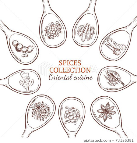 Sketch Spices And Herbs Round Concept 73186391