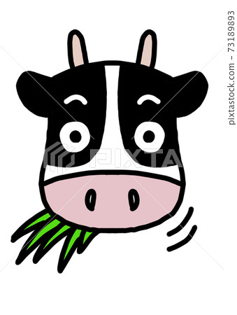 Cute Holstein cow facing the front (no expression, grassy, white background) Cute Holstein cow facing the front (no expression, grassy, white background) 73189893