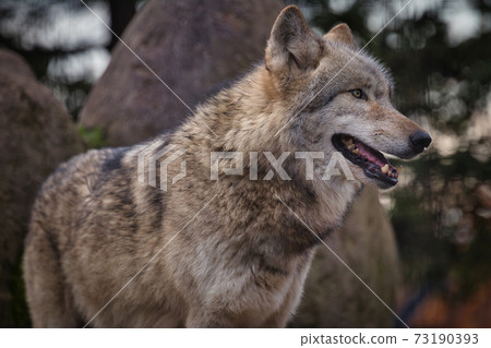 Mashu Observatory Mashu Observatory 73190393