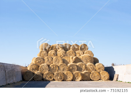 round stacks of dry grass hay stacked for storage. 73192135