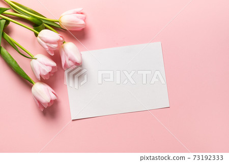Pink tulips and empty blank for cheers on pink. Mother Day. Pink tulips and empty blank for cheers on pink. Mother Day. 73192333