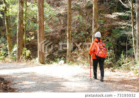 trekking  73193032