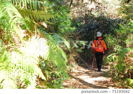 trekking  73193082