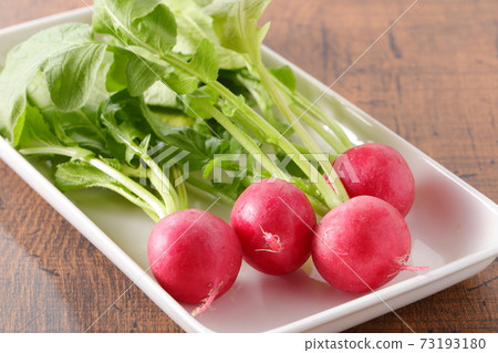 Fresh radishes on a white plate Fresh radishes on a white plate 73193180