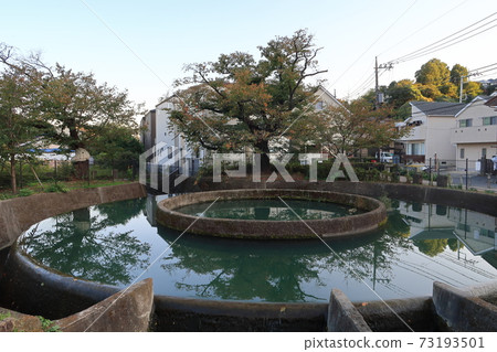 [川崎市]久慈圓柱改道 73193501