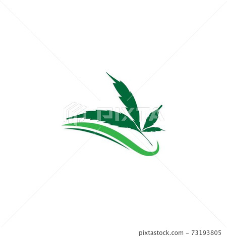 Cannabis leaf logo design vector template Cannabis leaf logo design vector template 73193805
