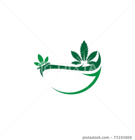 Cannabis leaf logo design vector template 73193808