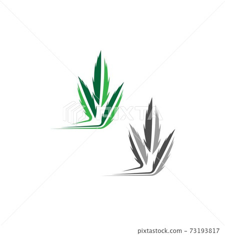 Cannabis leaf logo design vector template Cannabis leaf logo design vector template 73193817
