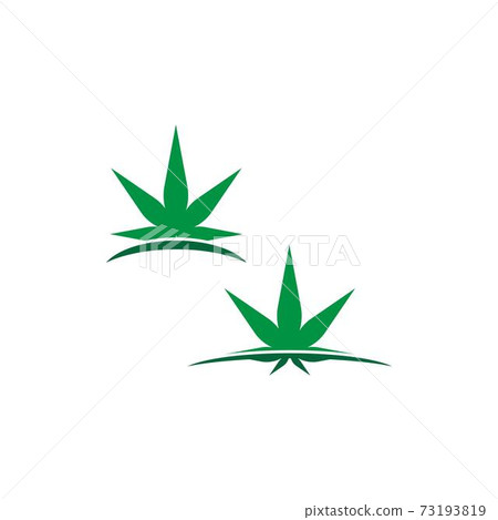 Cannabis leaf logo design vector template Cannabis leaf logo design vector template 73193819