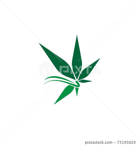 Cannabis leaf logo design vector template Cannabis leaf logo design vector template 73193820