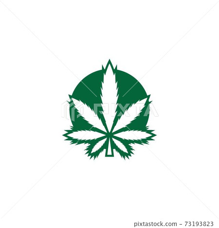 Cannabis leaf logo design vector template Cannabis leaf logo design vector template 73193823