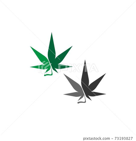 Cannabis leaf logo design vector template Cannabis leaf logo design vector template 73193827