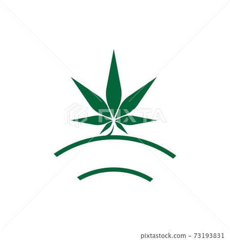 Cannabis leaf logo design vector template Cannabis leaf logo design vector template 73193831