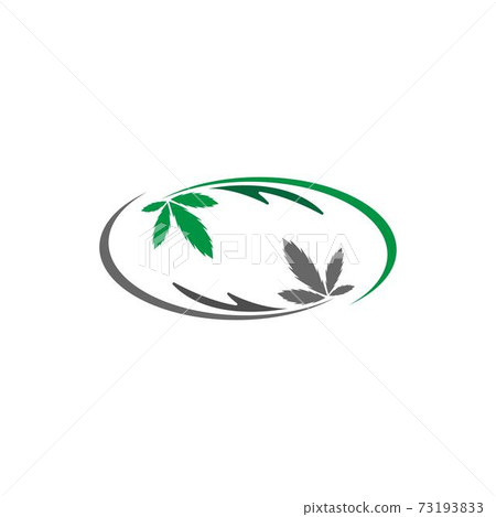 Cannabis leaf logo design vector template Cannabis leaf logo design vector template 73193833