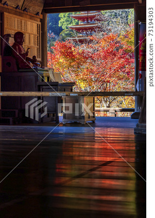 長谷寺（秋天的十一月秋葉） 73194303