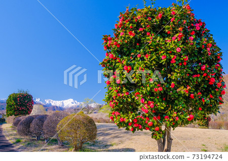 Southernka和谷川山 73194724