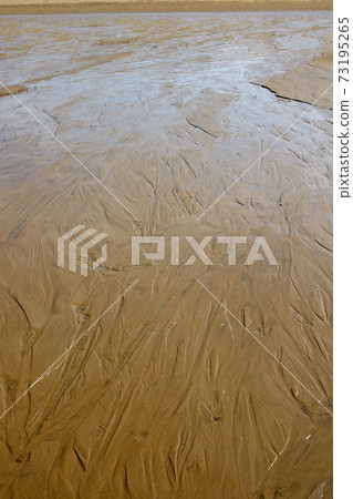 Tottori four seasons walk spring sand dunes Tottori four seasons walk spring sand dunes 73195265