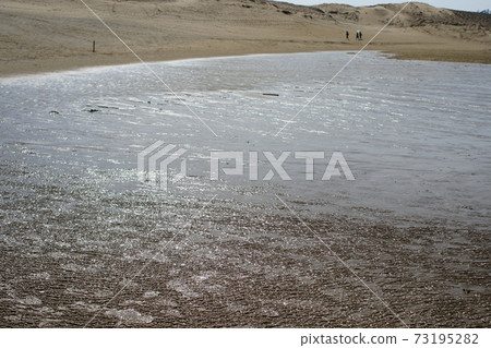 Tottori four seasons walk spring sand dunes Tottori four seasons walk spring sand dunes 73195282