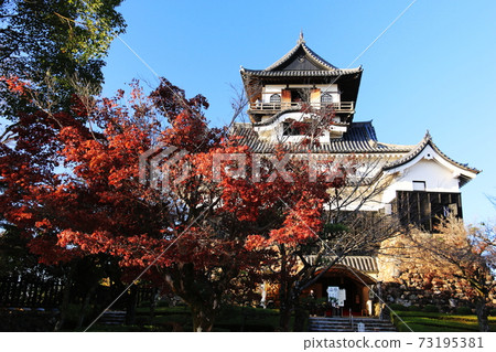 Autumn in Japan, Inuyama City, Aichi Prefecture, Autumn Leaves and Inuyama Castle 73195381