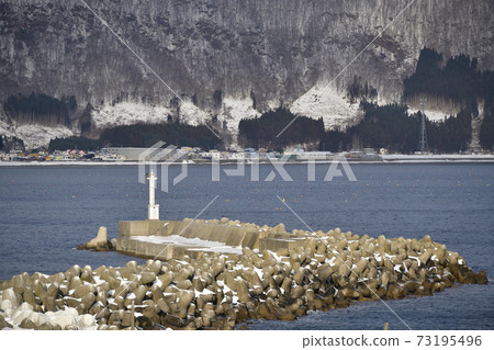 Taking a picture of the snow scene of Todohokke fishing port in Todohokke district, Hakodate city, Hokkaido in winter Taking a picture of the snow scene of Todohokke fishing port in Todohokke district, Hakodate city, Hokkaido in winter 73195496