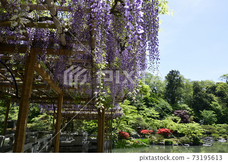Kyoto Sento Imperial Palace Minamiike Fujitana and Yatsuhashi Kyoto Sento Imperial Palace Minamiike Fujitana and Yatsuhashi 73195613
