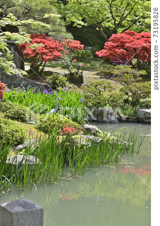 京都千戶故宮南池美山霧島 73195826